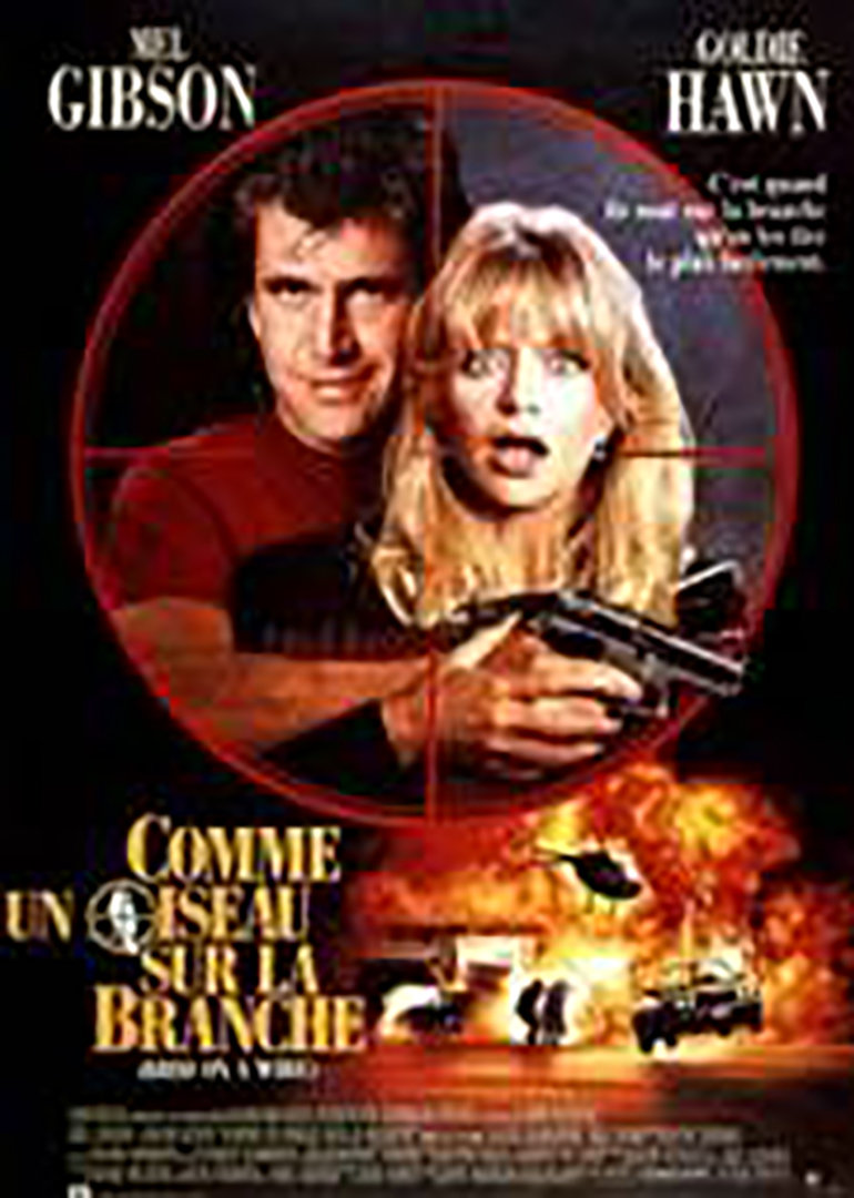 轰天俏娇娃封面图