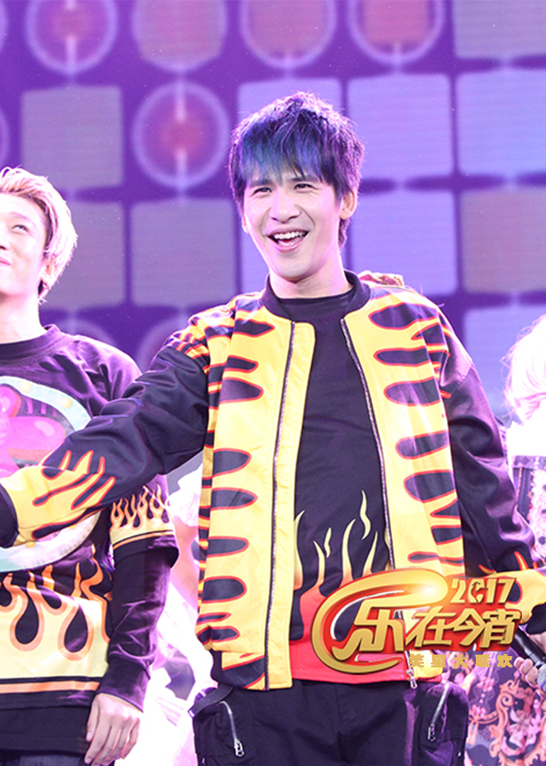 207鸡年湖北卫视春晚封面图