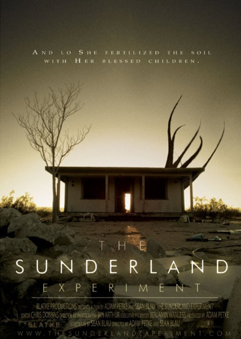 桑德森实验封面图