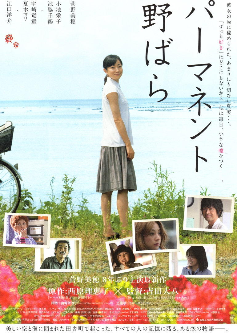 常开野蔷薇封面图