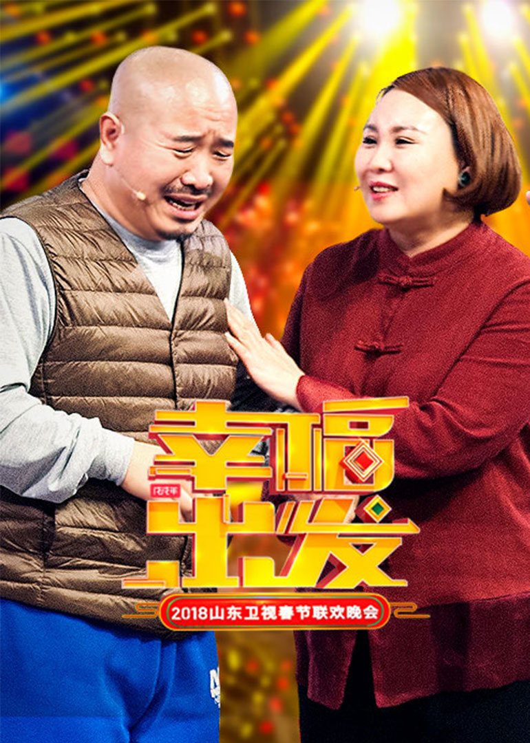 208山东卫视春晚封面图