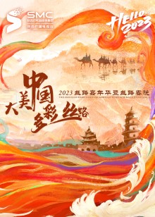 陕西卫视丝路嘉年华封面图