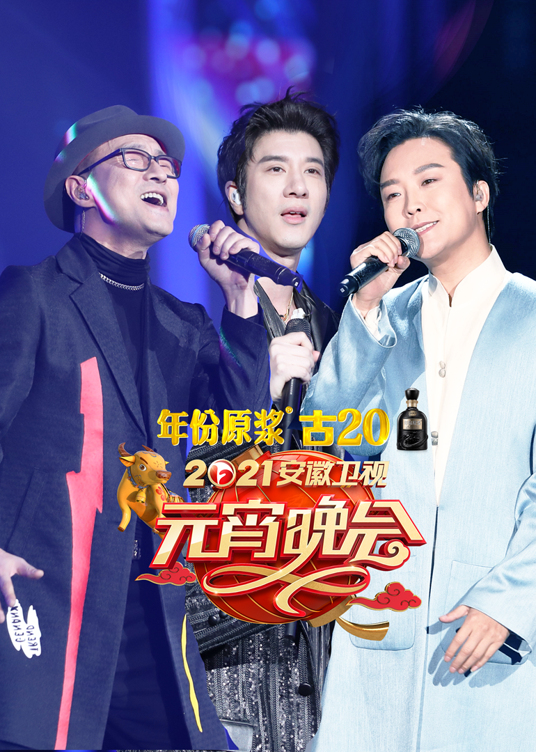 202安徽卫视元宵晚会封面图