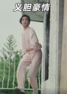 义胆豪情封面图