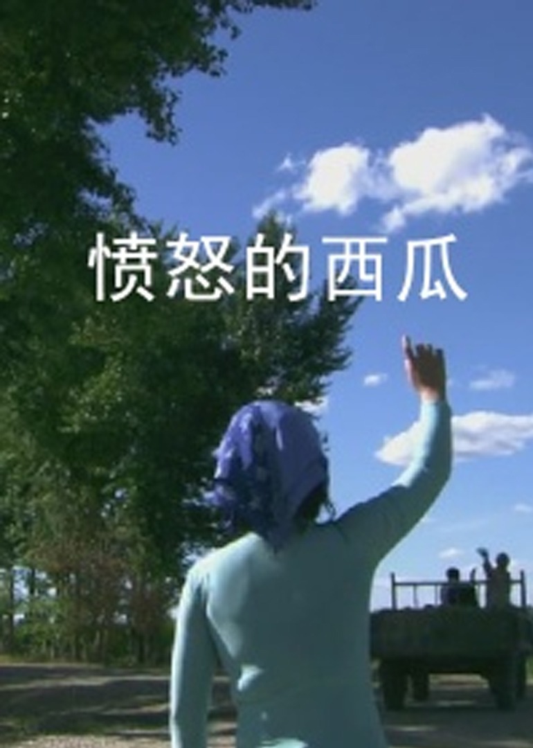 愤怒的西瓜封面图