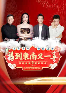东南卫视春节联欢晚会封面图