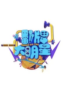 翻牌大明星封面图