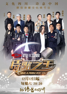 诗歌之王封面图