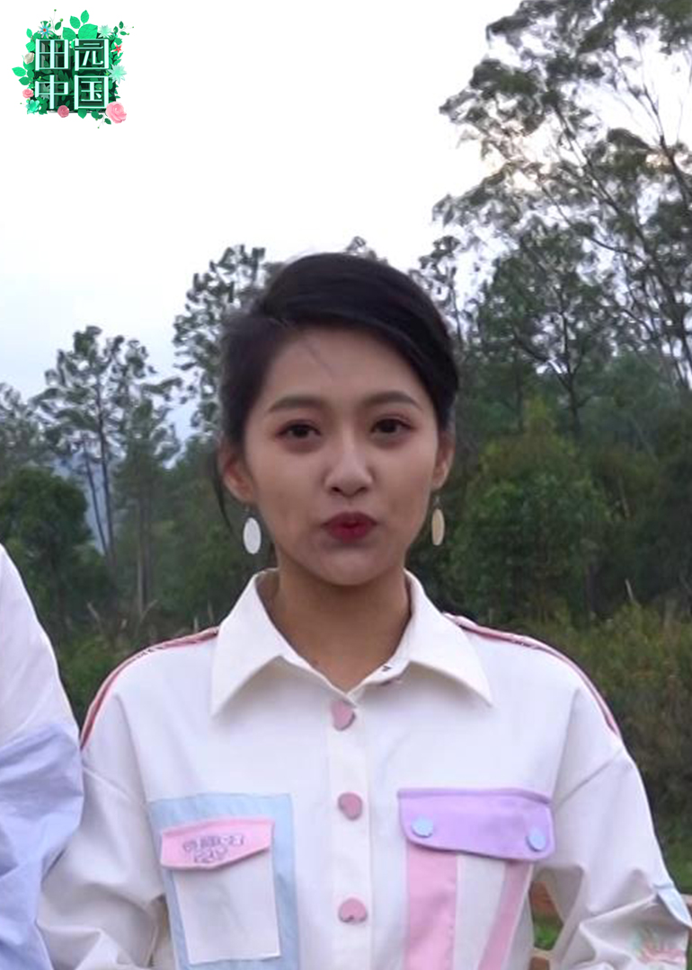 田园中国封面图