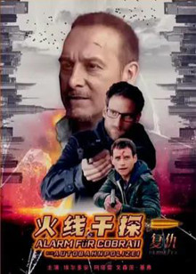 火线干探深仇封面图