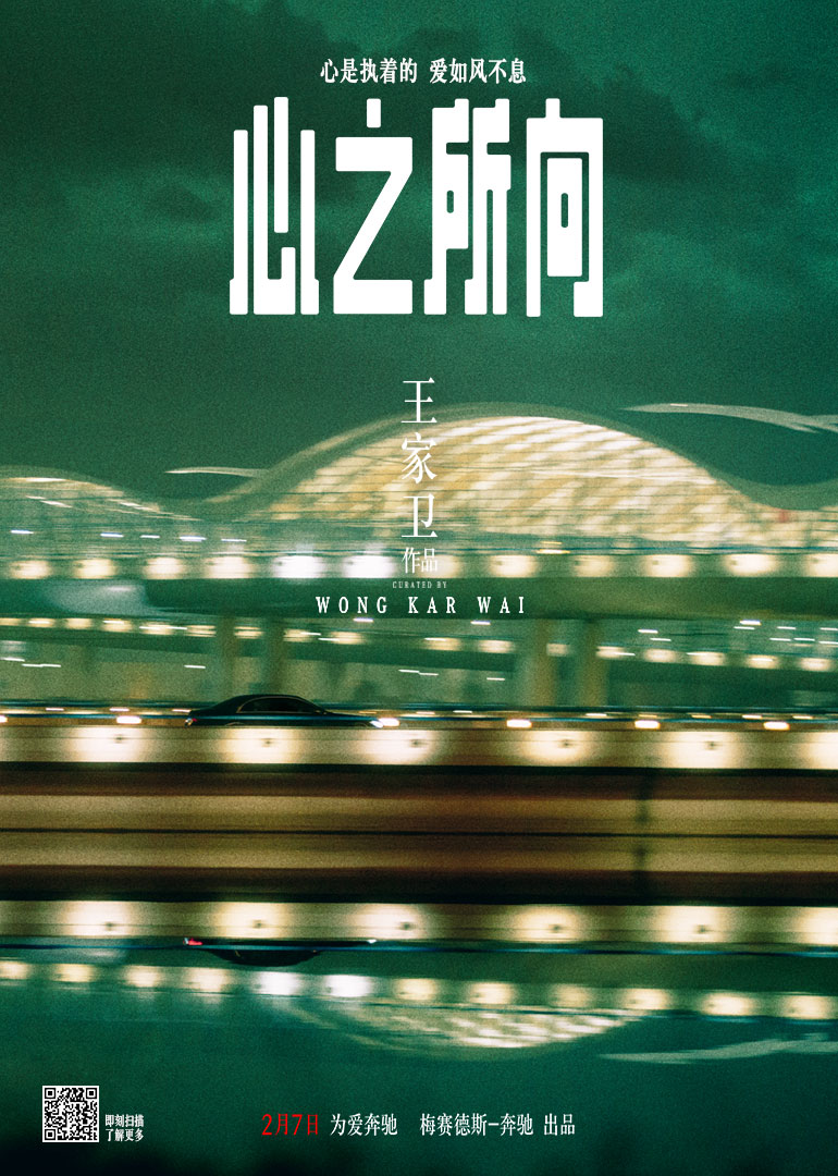 心之所向封面图