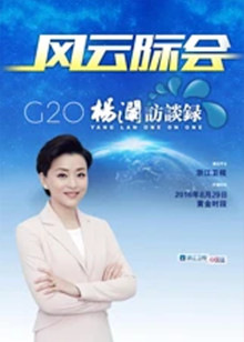 风云际会G20杨澜访谈录封面图