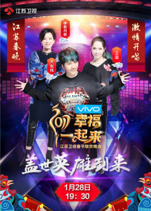 鸡年江苏卫视春晚封面图