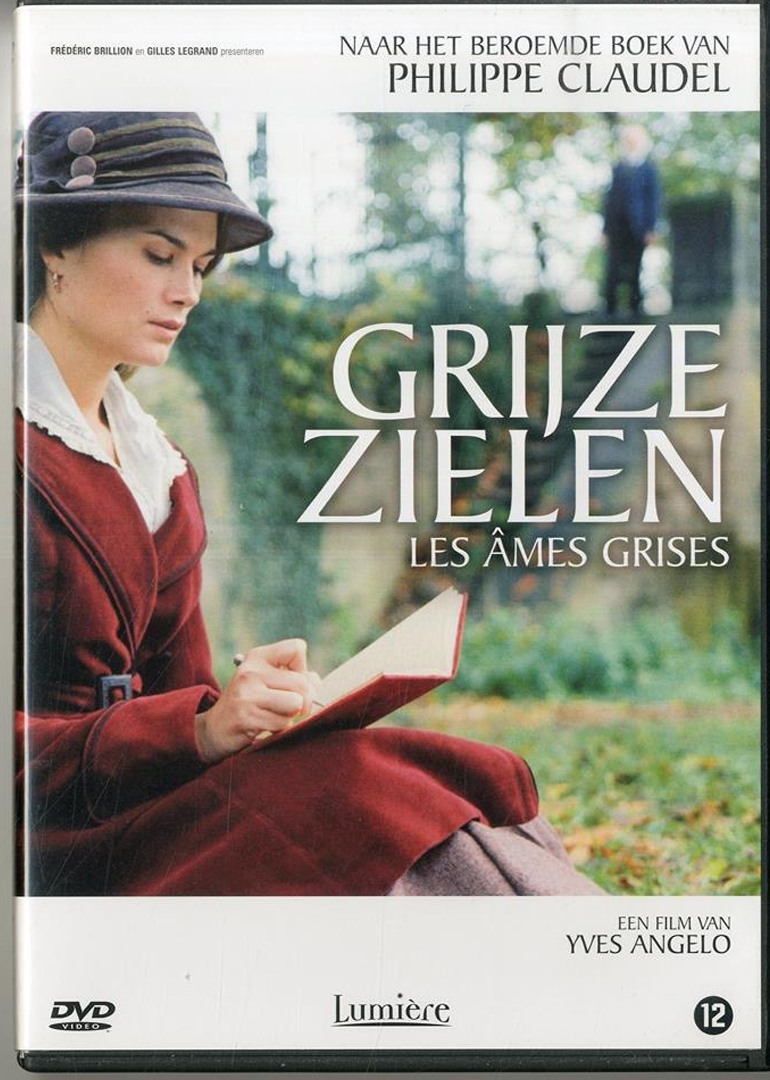 灰色灵魂封面图