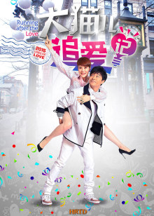 大猫儿追爱记封面图