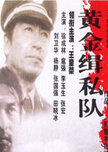黄金缉私队封面图