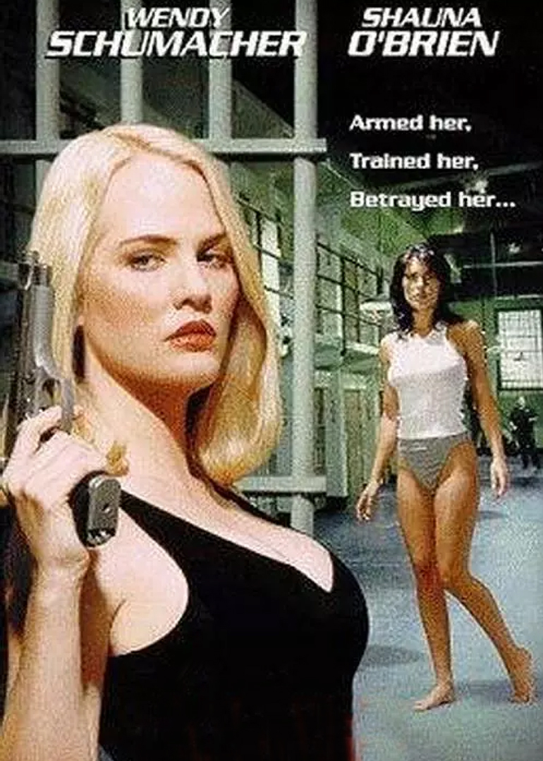 信任危机封面图