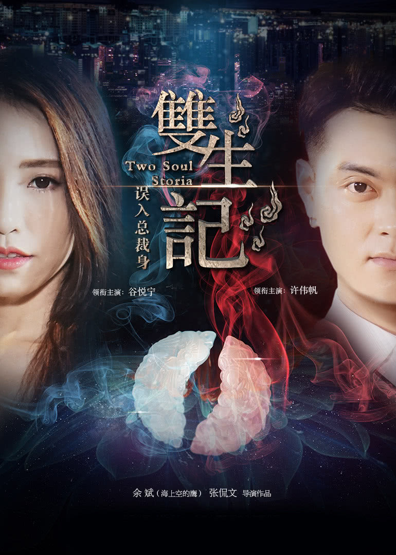 双生记之误入总裁身封面图