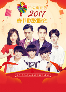 鸡年央视春晚封面图