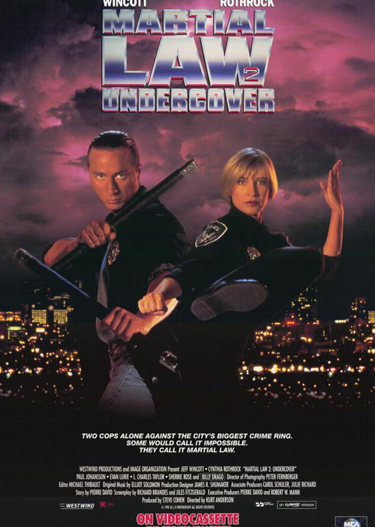 铁胆雄风封面图