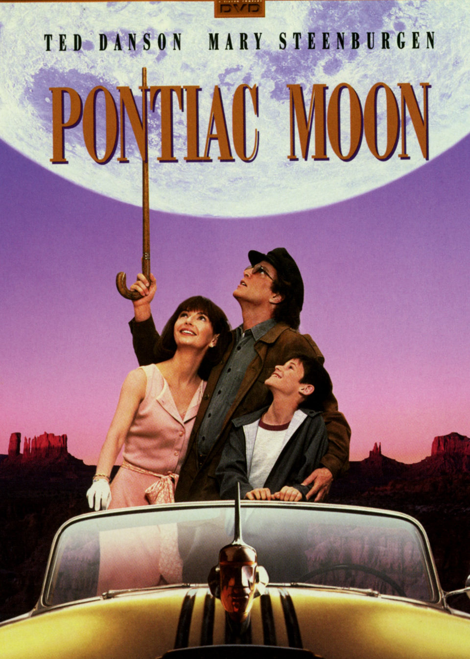 月亮代表我的心封面图