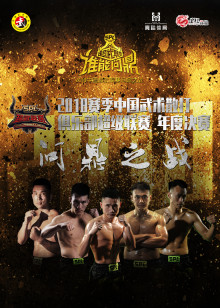 赛季中国武术散打俱乐部超级联赛问鼎之战封面图