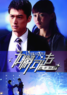 无懈可击之高手如林封面图