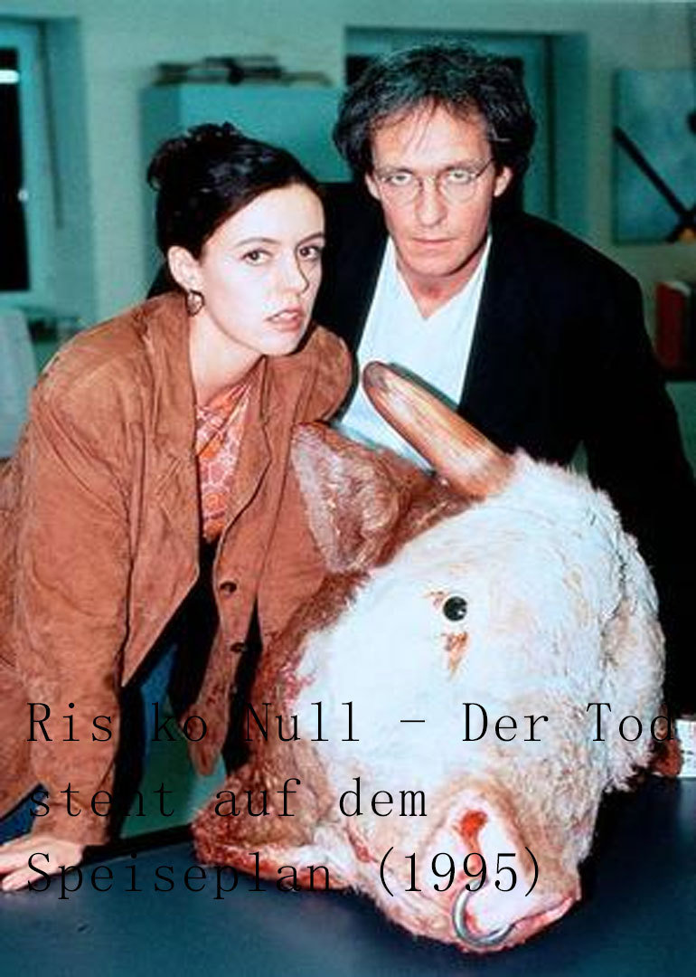 天涯追踪封面图