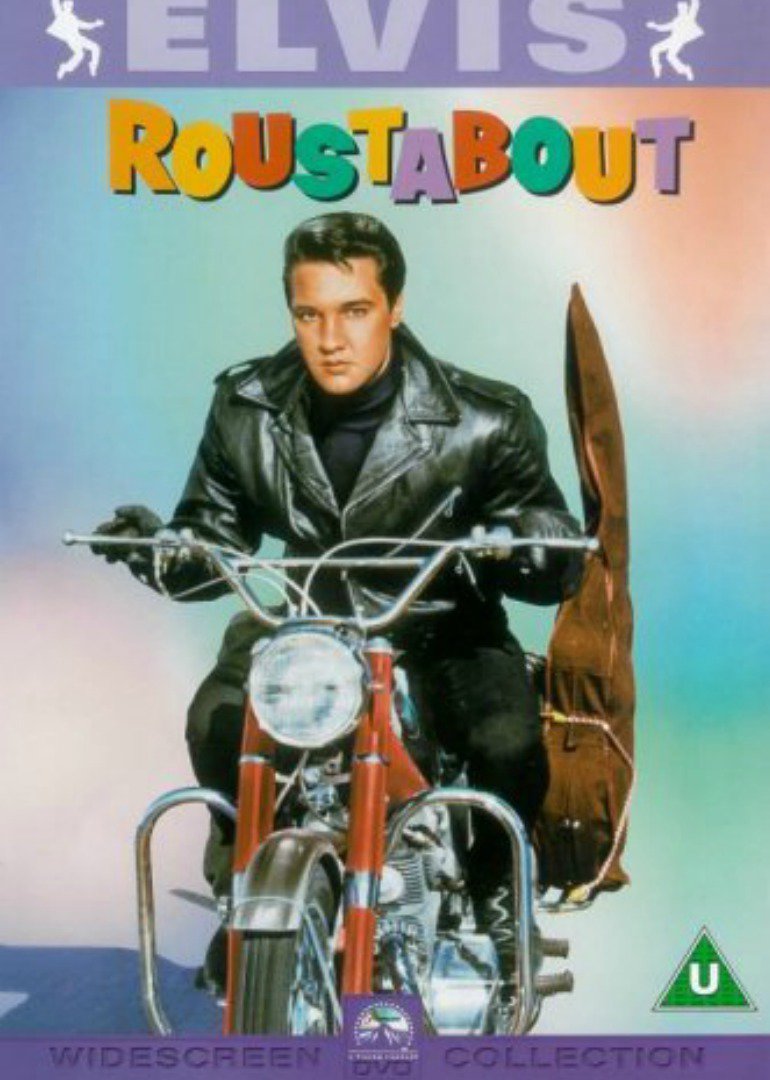 流浪歌手封面图