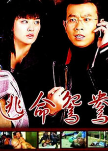 逃命鸳鸯封面图