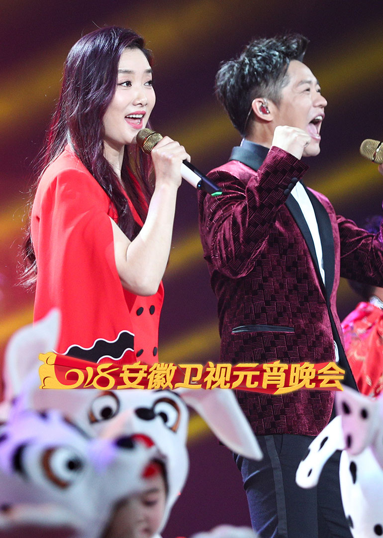 2018安徽卫视元宵晚会封面图