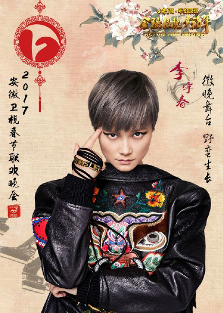 207鸡年安徽卫视春晚封面图