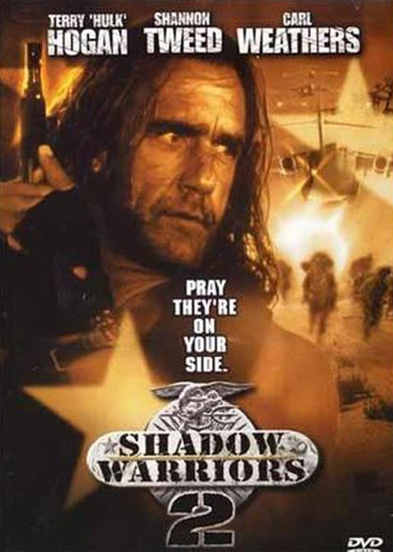 影子勇士  2封面图