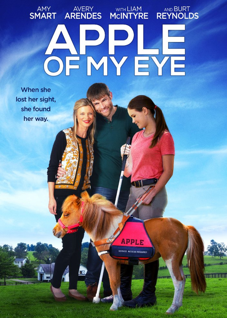 伴我光明路封面图