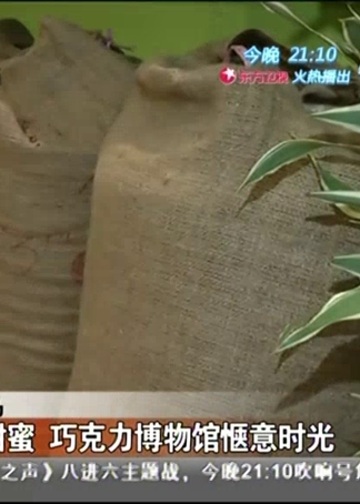 乐活好正点封面图