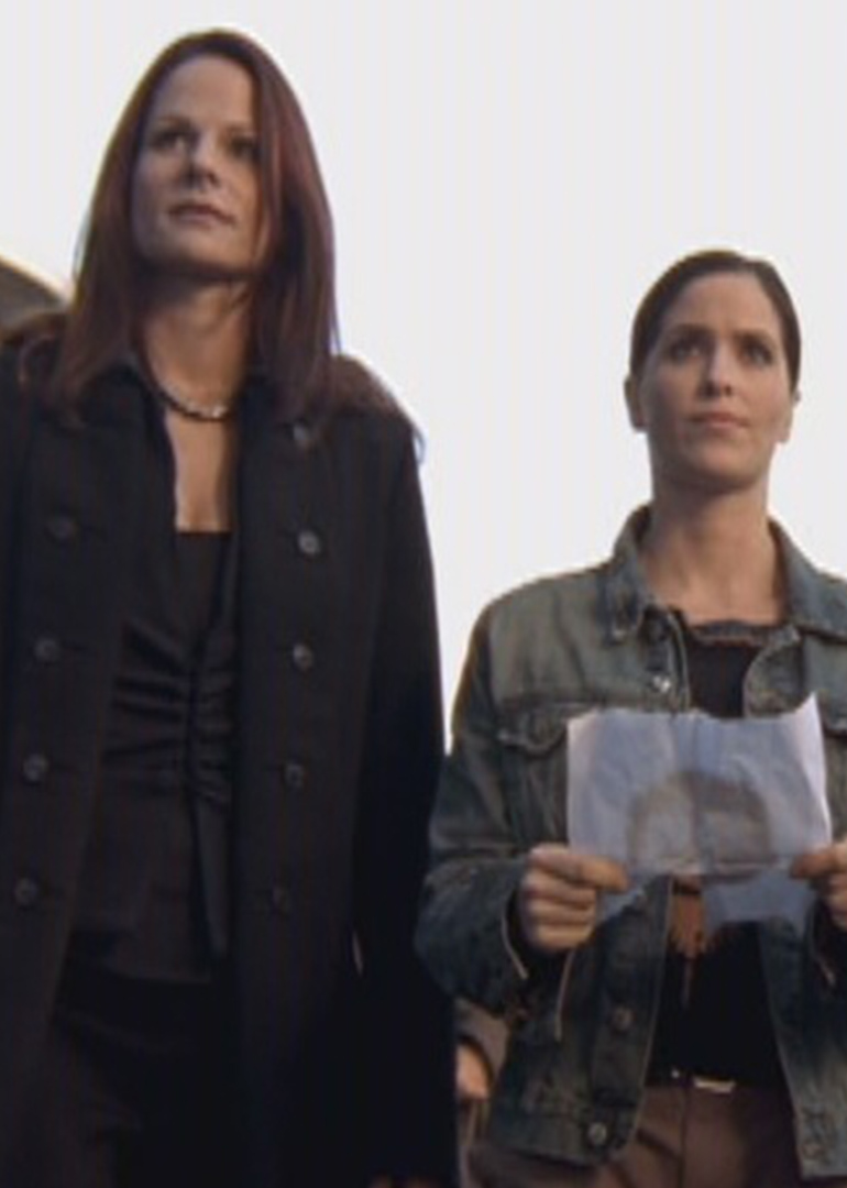 疯狂天使之罪恶冰美人封面图