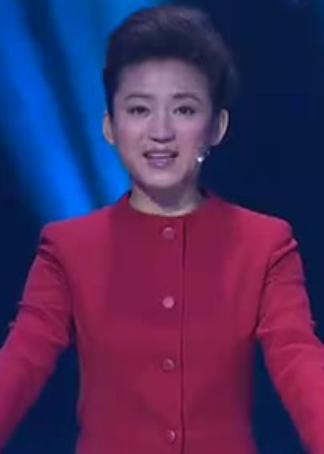 中国灯谜大会第二季封面图