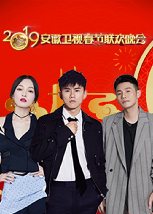 20第九季安徽卫视春晚封面图