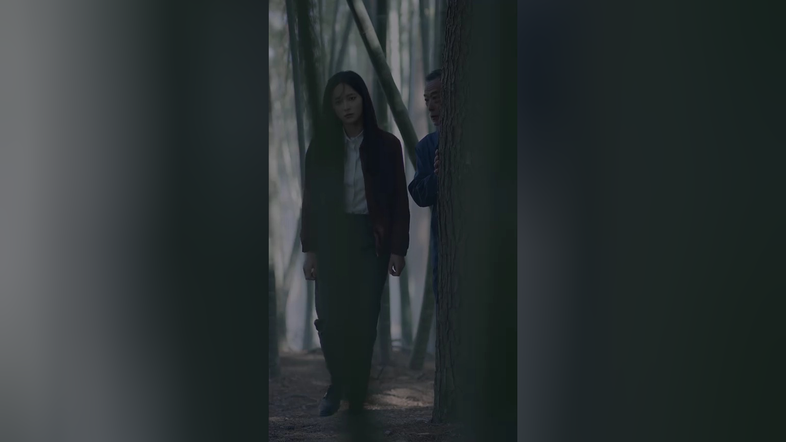 冯宝宝与张楚岚封面图