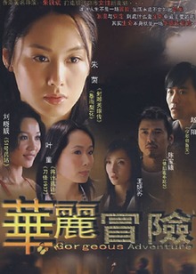 华丽冒险封面图