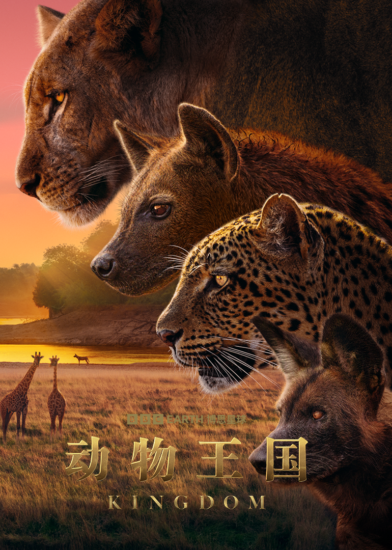 动物王国封面图