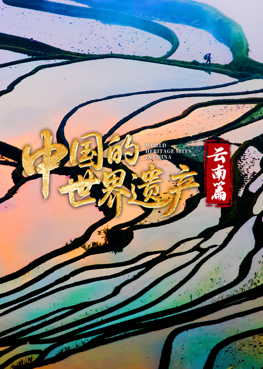 中国的世界遗产云南篇封面图