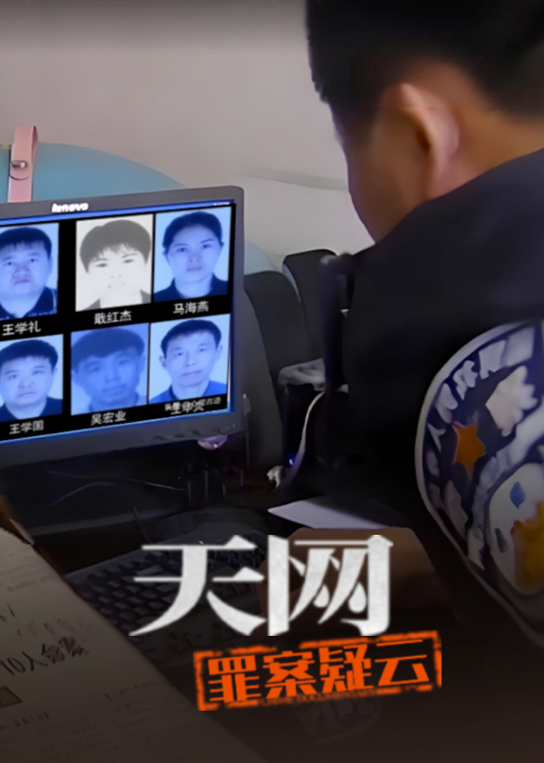 天网罪案疑云封面图