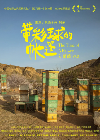 带彩球的帐篷封面图