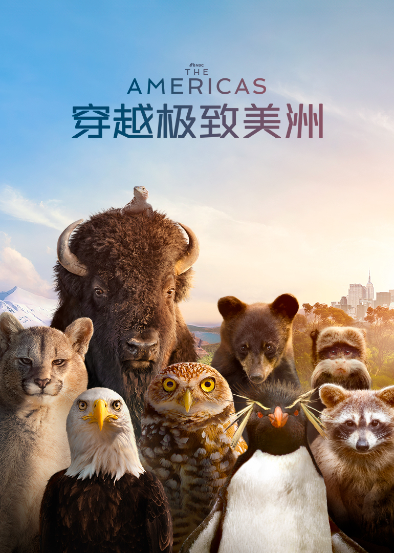 穿越极致美洲封面图