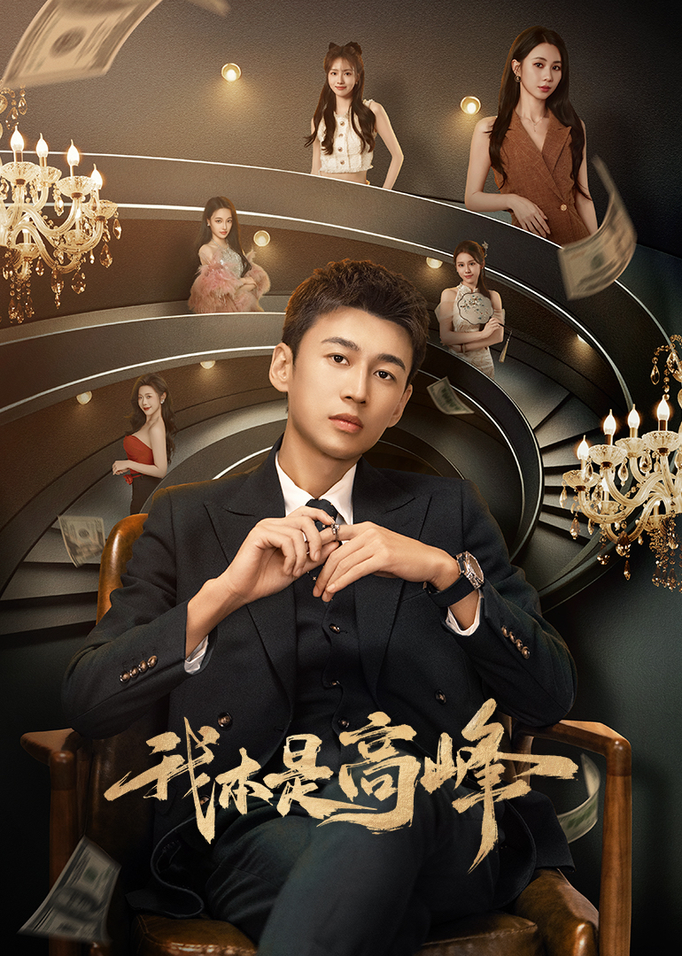 我本是高峰封面图