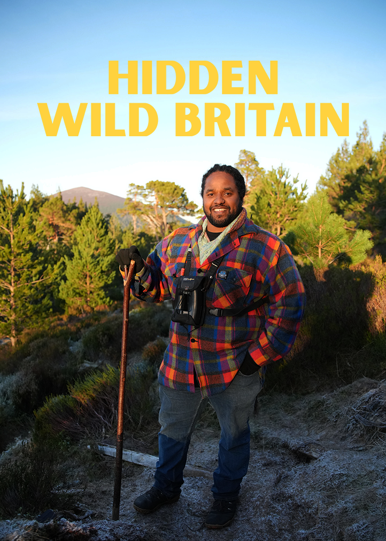 隐秘野性不列颠封面图