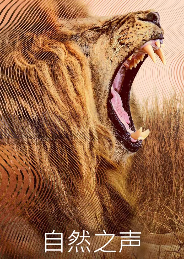 自然之声封面图
