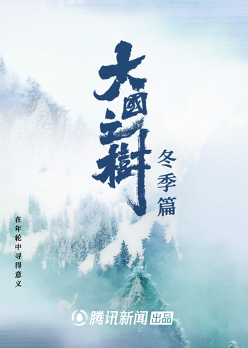 大国之树冬季篇封面图