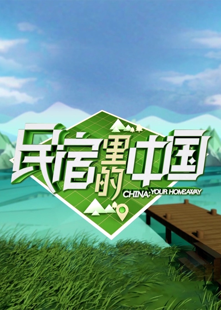 民宿里的中国精编版封面图